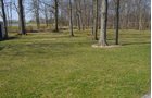 Property photo 19 - 3.4 Acres Offered in 2 Tracts - 3 Bedroom Ranch Home plus Additional Lot